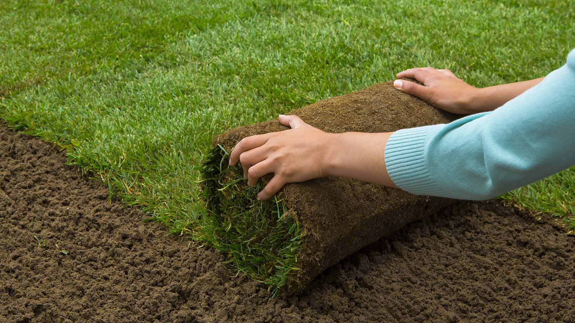 grass sod rolling